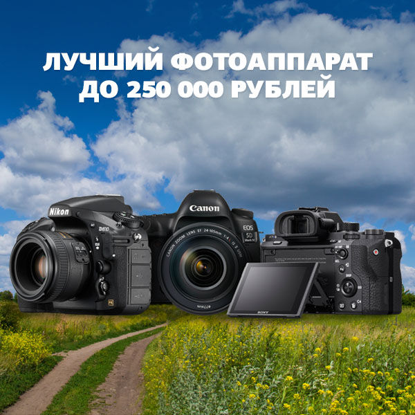 Image rectangle 600 x