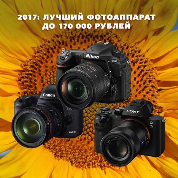 Image rectangle 600 x