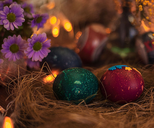 Image rectangle 600 x