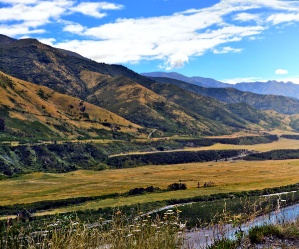 Image rectangle 600 x