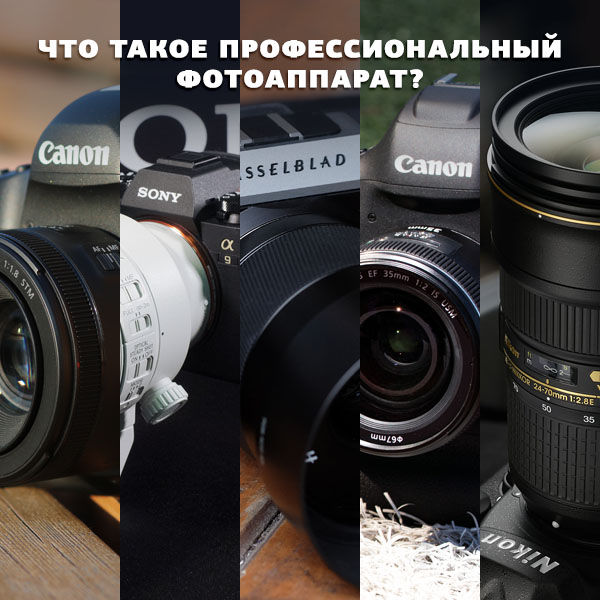 Image rectangle 600 x