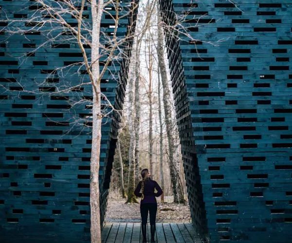 Image rectangle 600 x