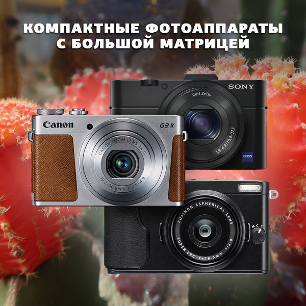 Image rectangle 600 x