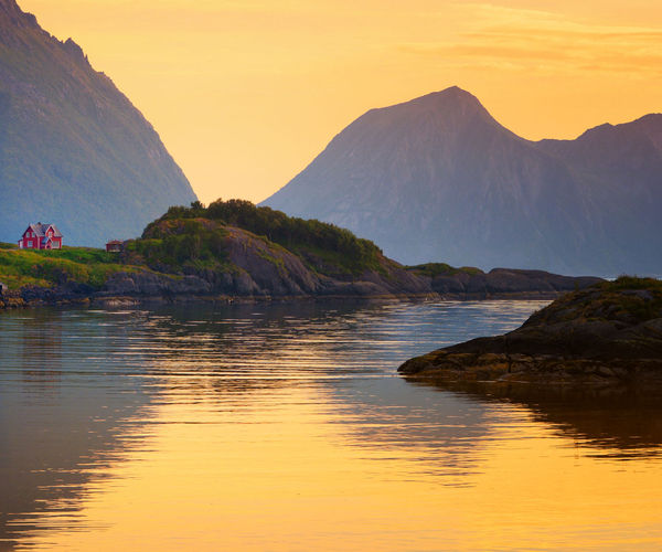 Image rectangle 600 x