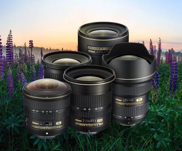 Image rectangle 600 x