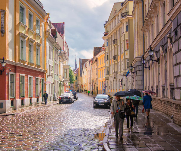 Image rectangle 600 x