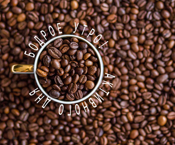 Image rectangle 600 x