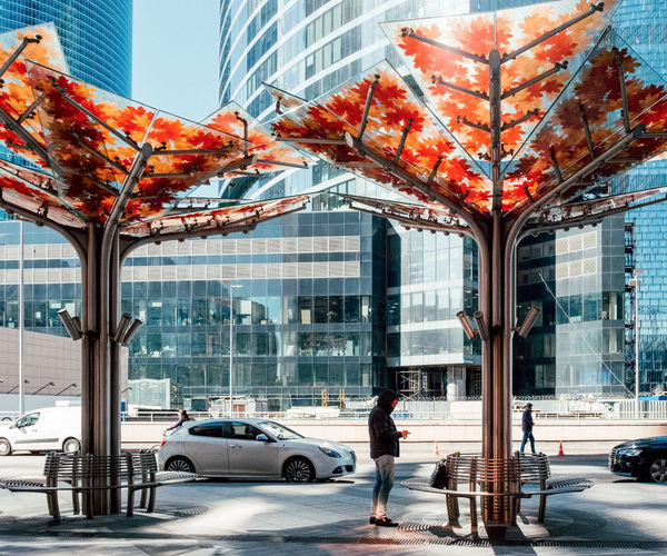 Image rectangle 600 x