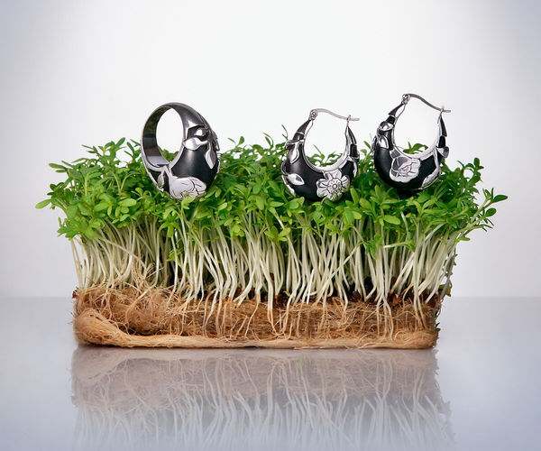 Image rectangle 600 x