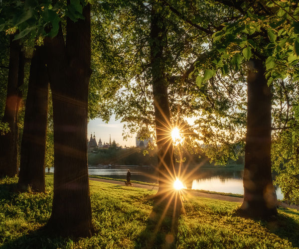 Image rectangle 600 x