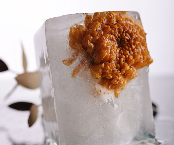 Image rectangle 600 x