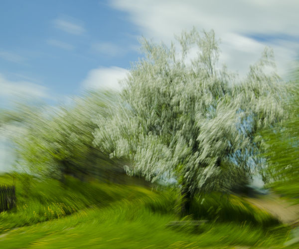 Image rectangle 600 x