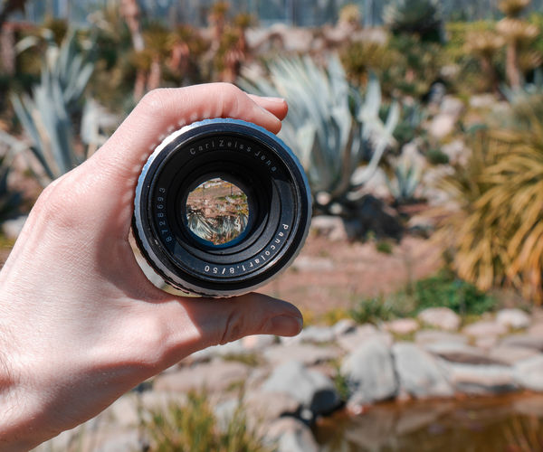 Image rectangle 600 x