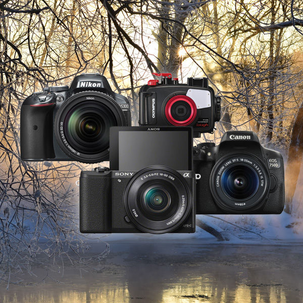 Image rectangle 600 x