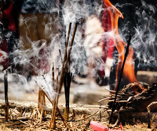 Image rectangle 600 x