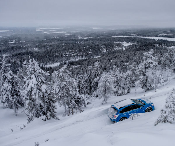 Image rectangle 600 x