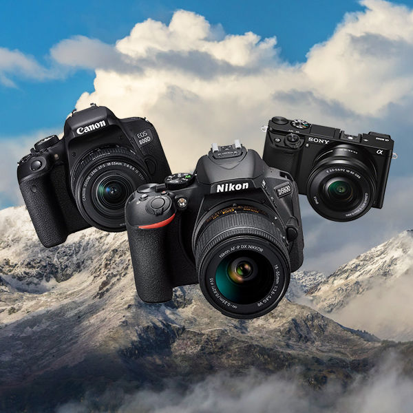 Image rectangle 600 x