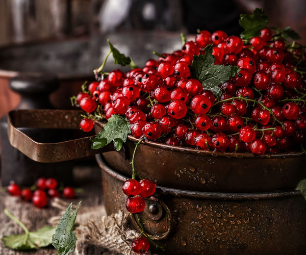 Image rectangle 600 x