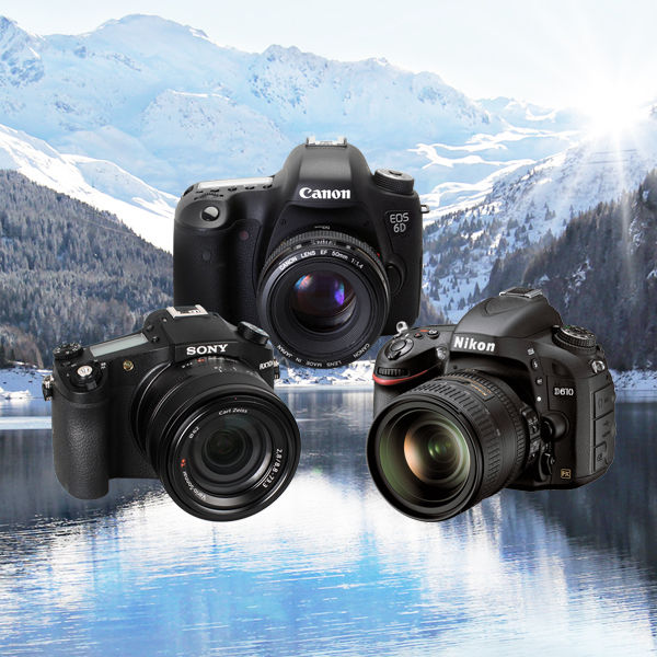 Image rectangle 600 x