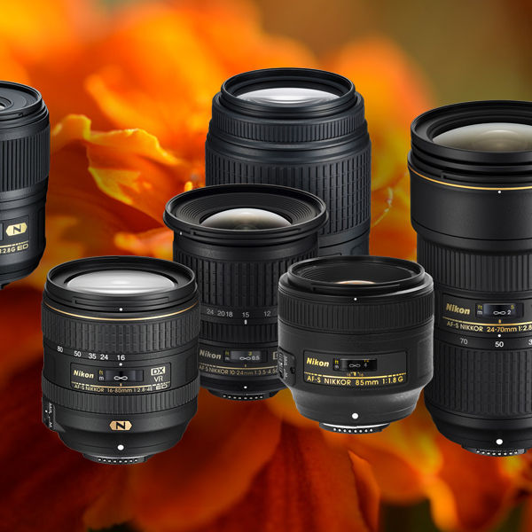 Image rectangle 600 x