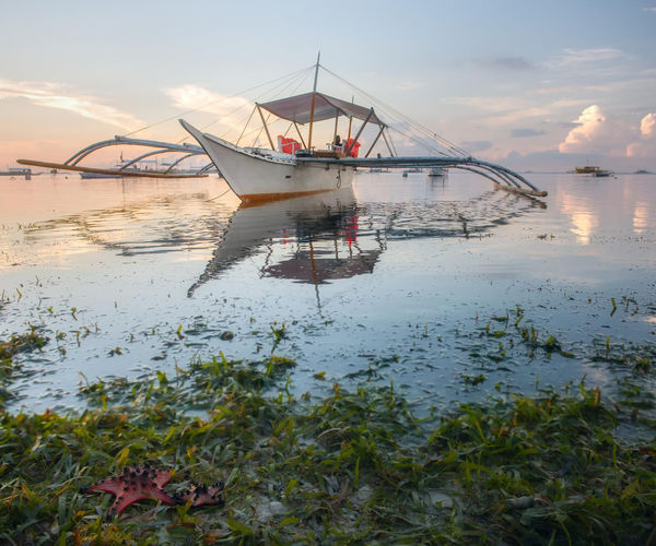 Image rectangle 600 x