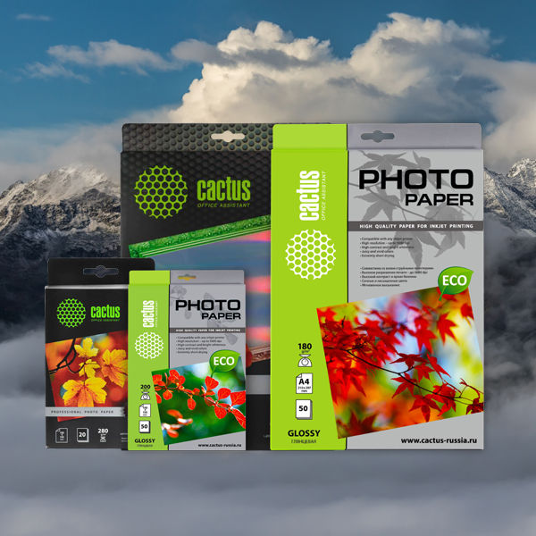 Image rectangle 600 x