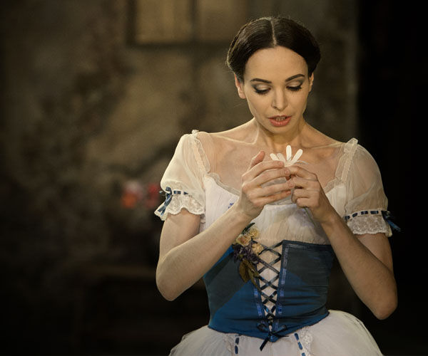 Image rectangle 600 x