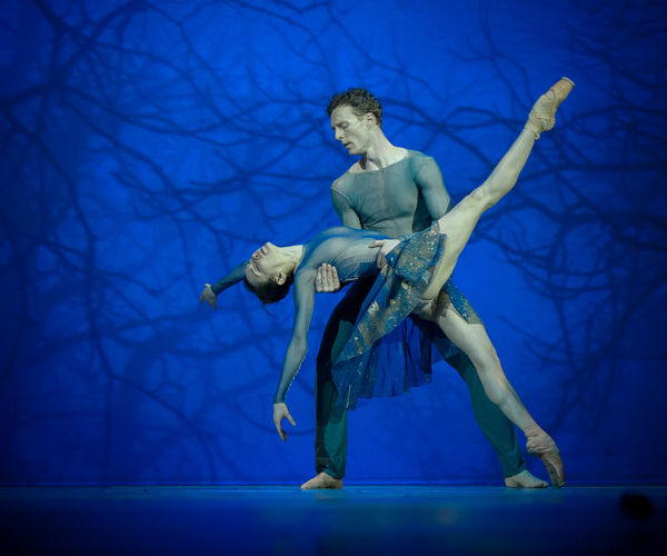 Image rectangle 600 x