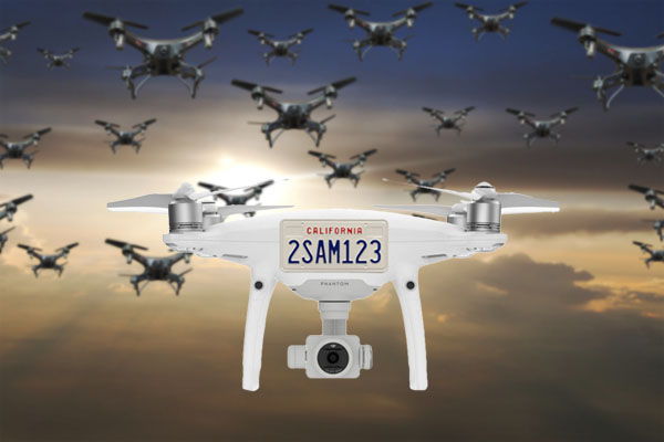 Image rectangle 600 x