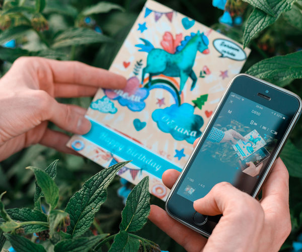 Image rectangle 600 x