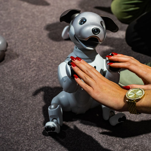 Image rectangle 600 x