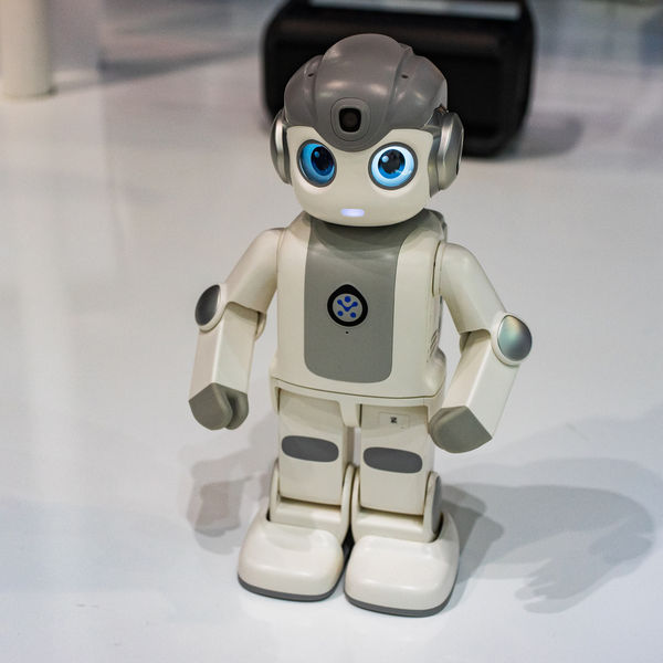 Image rectangle 600 x