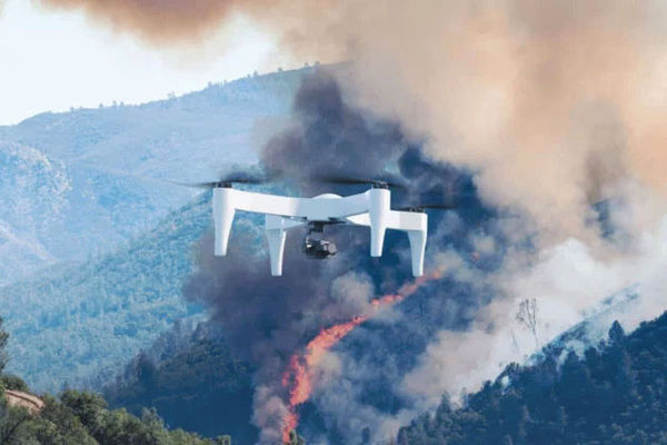 Image rectangle 600 x