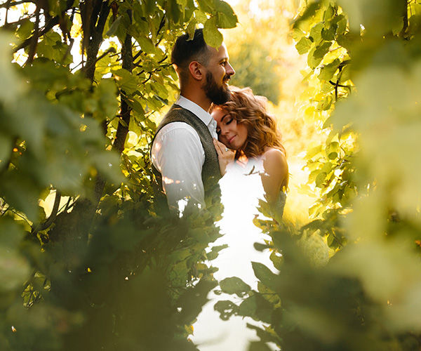 Image rectangle 600 x