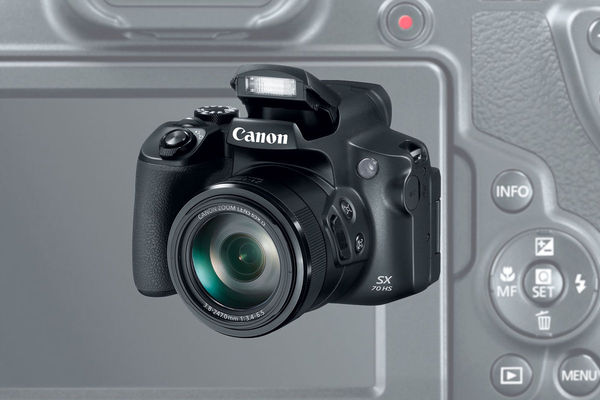 Image rectangle 600 x