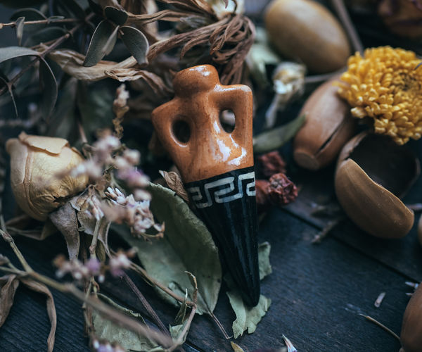 Image rectangle 600 x