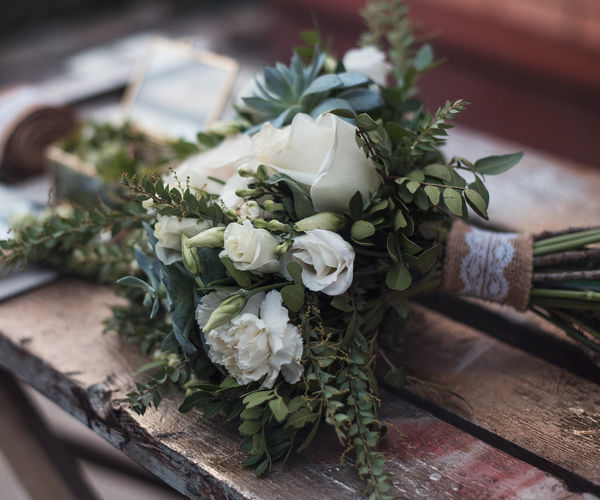 Image rectangle 600 x