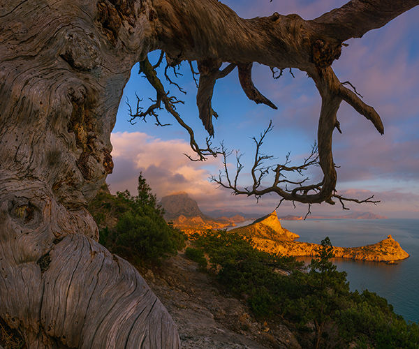 Image rectangle 600 x