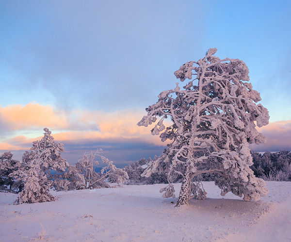 Image rectangle 600 x