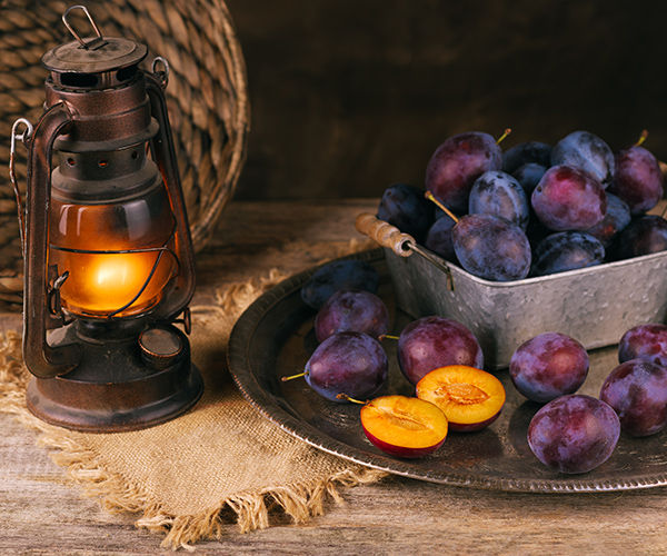 Image rectangle 600 x