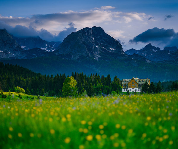 Image rectangle 600 x