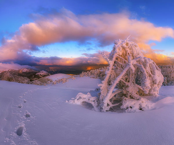 Image rectangle 600 x