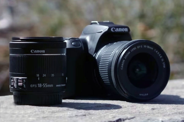 Image rectangle 600 x