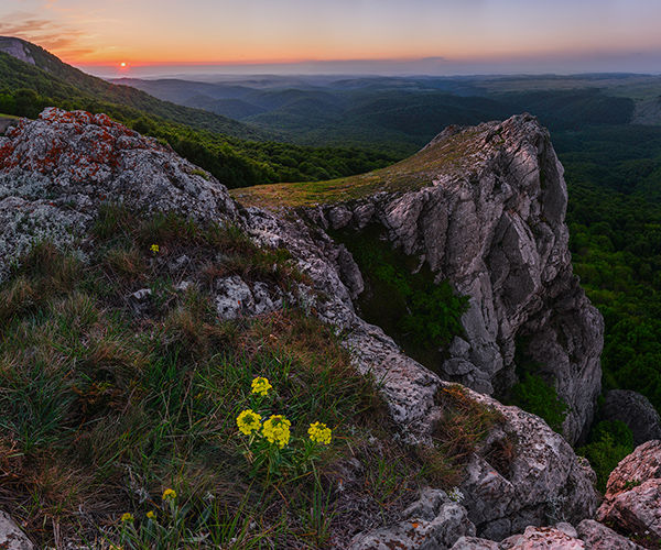 Image rectangle 600 x