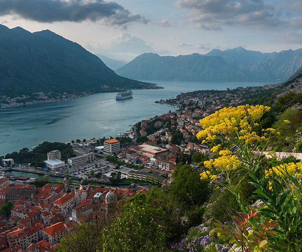 Image rectangle 600 x