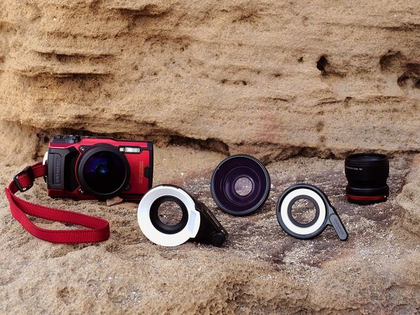 Image rectangle 600 x