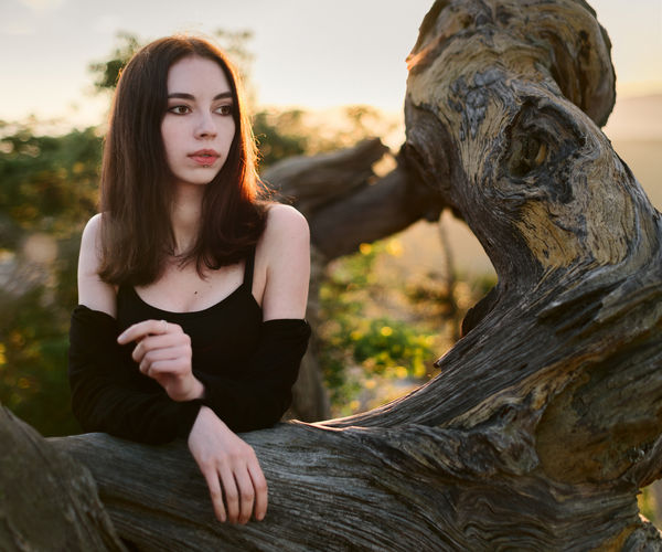 Image rectangle 600 x