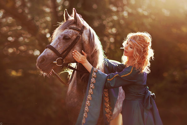 Image rectangle 600 x