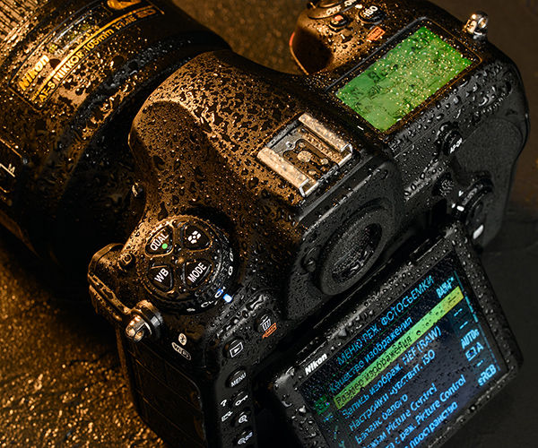 Image rectangle 600 x