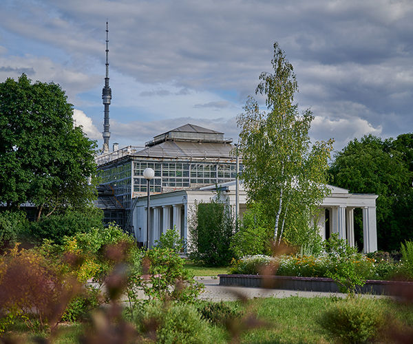 Image rectangle 600 x